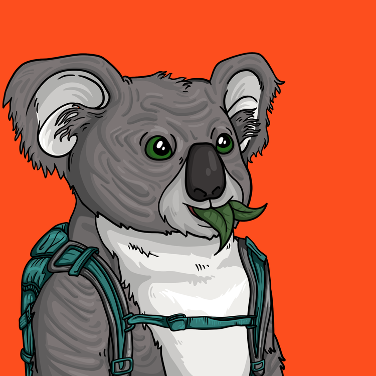 Image of Wildlife Warrior Koala #1754