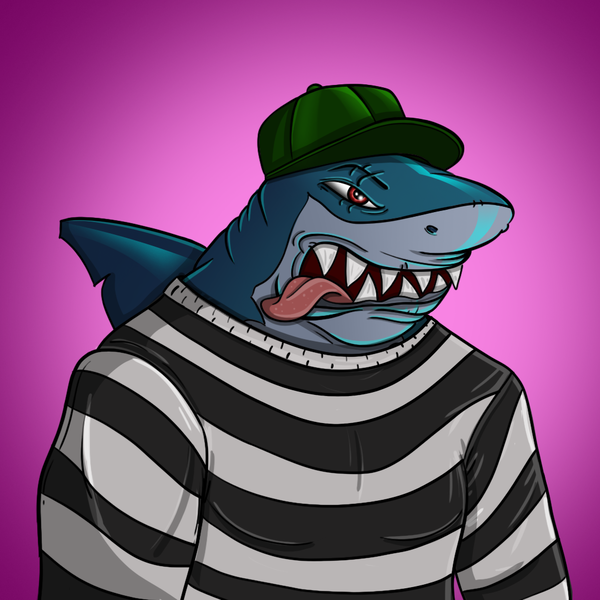 Image of AlgoShark #44