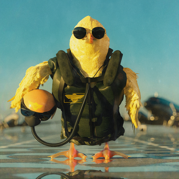 Image of Top Gun Chick