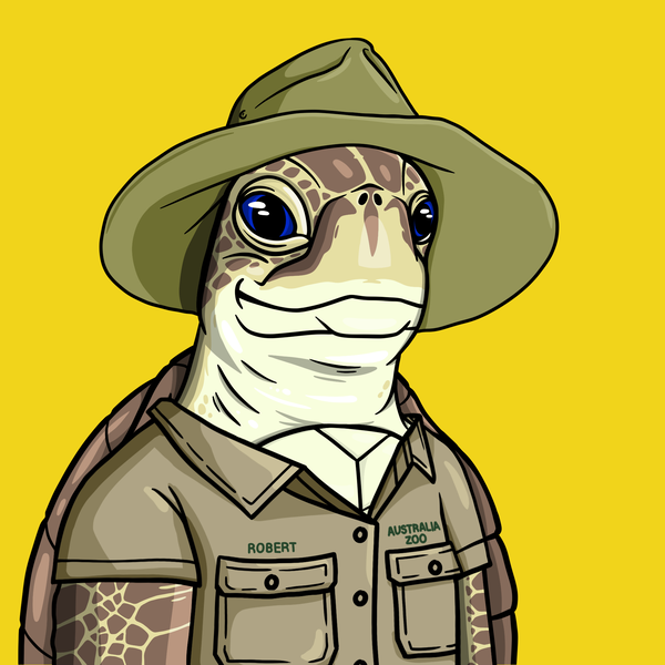 An image of Wildlife Warrior Turtle #4