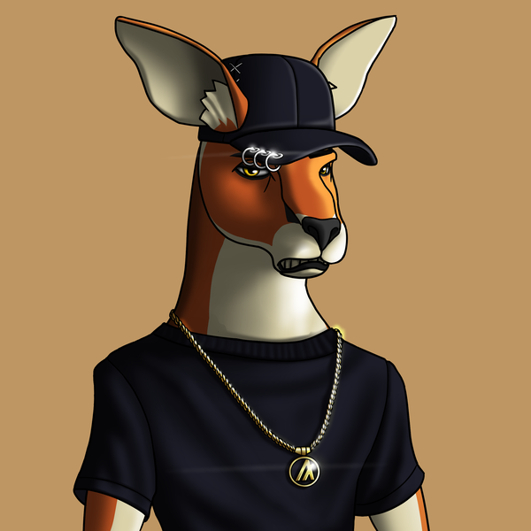 Image of AlgoKangaroo #29