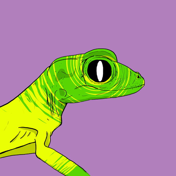 An image of Geko 0010