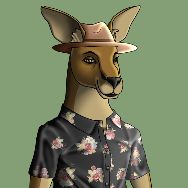 An image of AlgoKangaroo #13