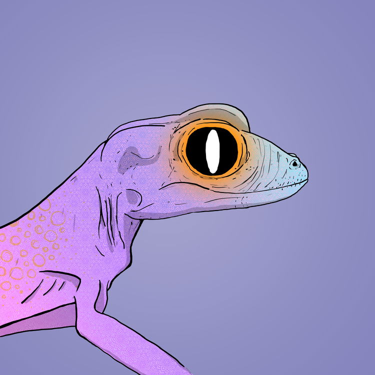 Image of Geko 0036