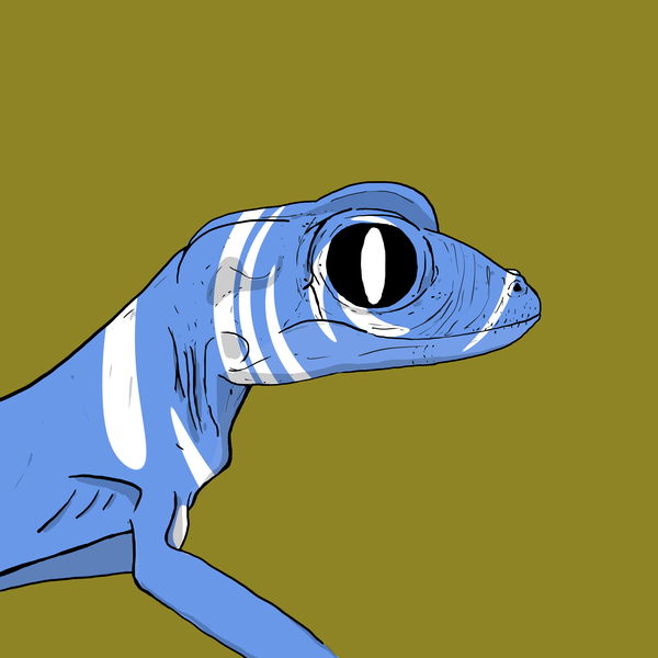 An image of Geko 0009