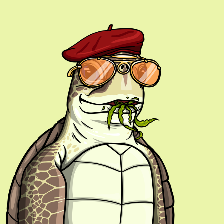 Image of Wildlife Warrior Turtle #51