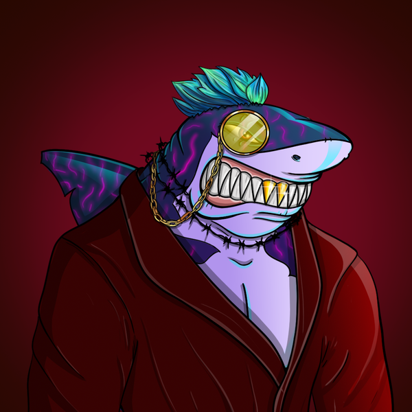 Image of AlgoShark #49