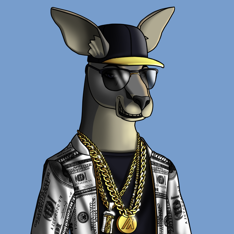 Image of AlgoKangaroo #17