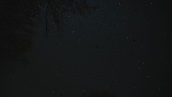 An image of Starlapse Cane Creek Companion