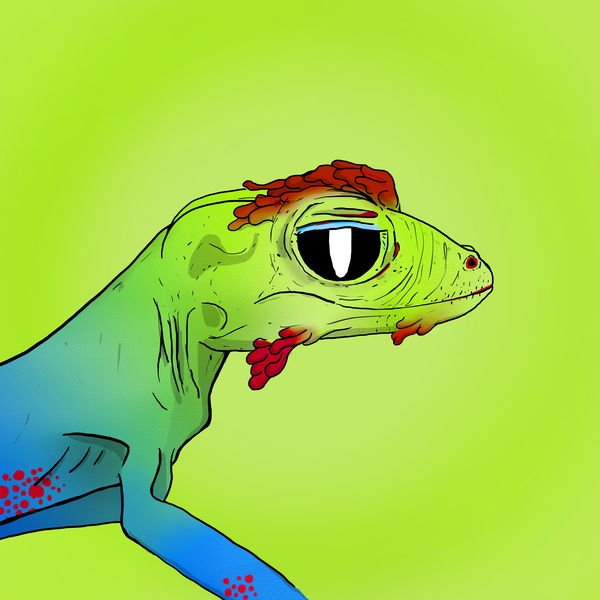 An image of Geko 0017