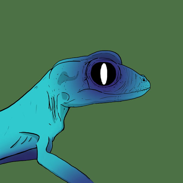 An image of Geko 0007