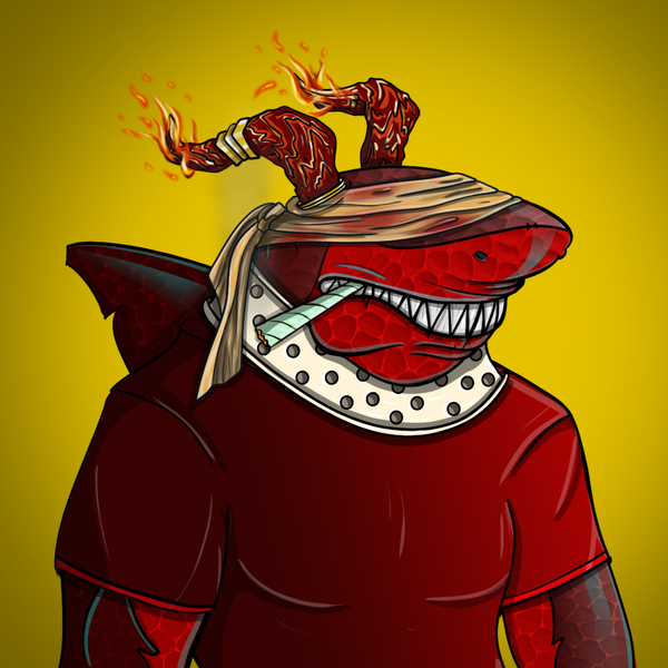 An image of AlgoShark #5