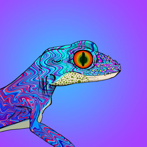 An image of Geko 0020