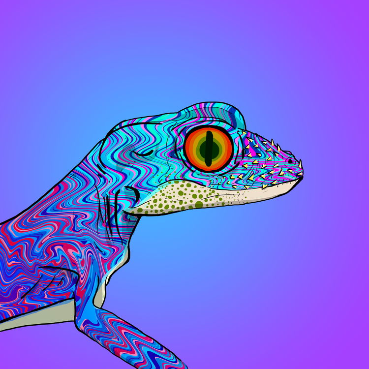 Image of Geko 0020