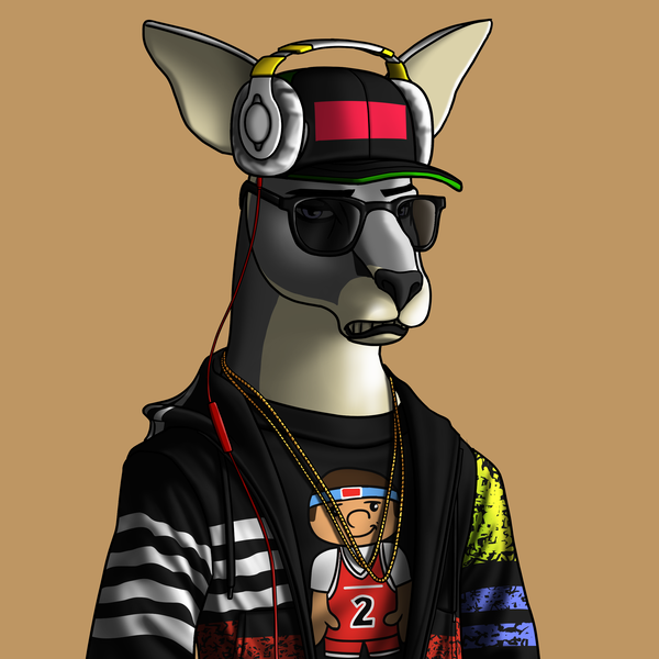 Image of AlgoKangaroo #51