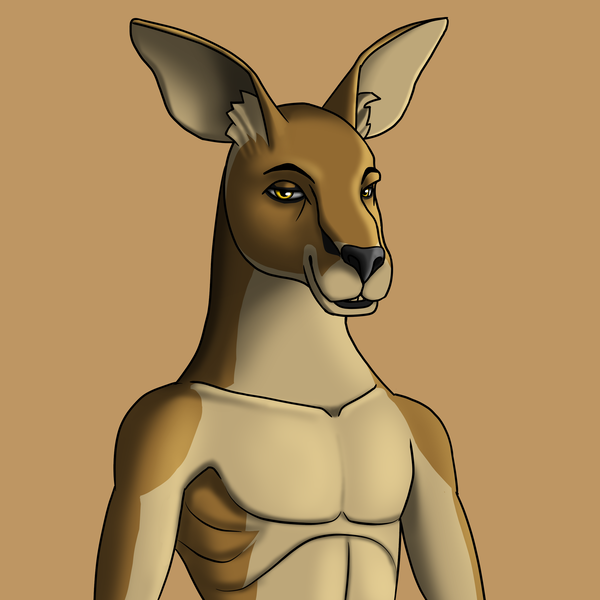 An image of AlgoKangaroo #1