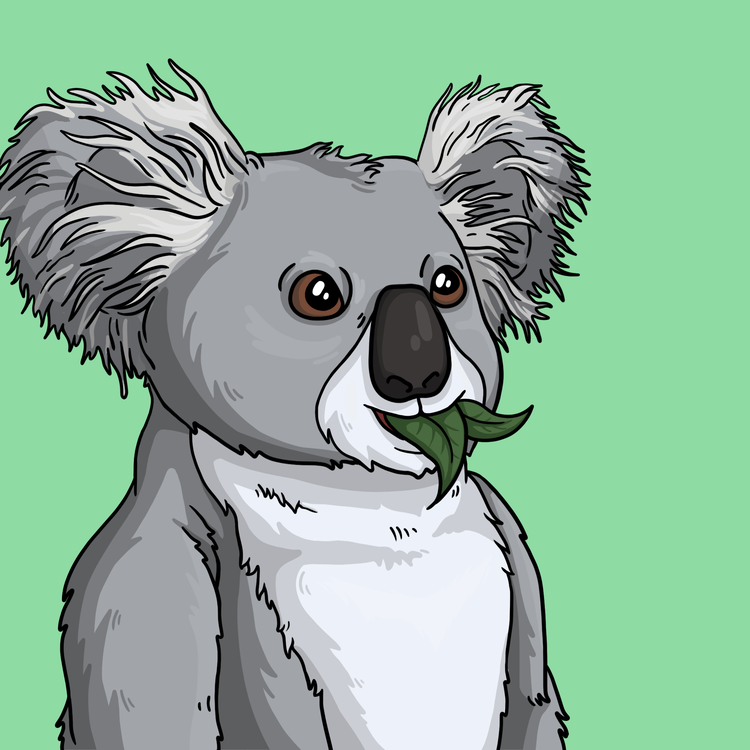 Image of Wildlife Warrior Koala #298