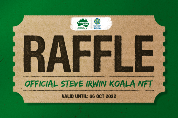 Image of Steve Irwin Koala Raffle Ticket