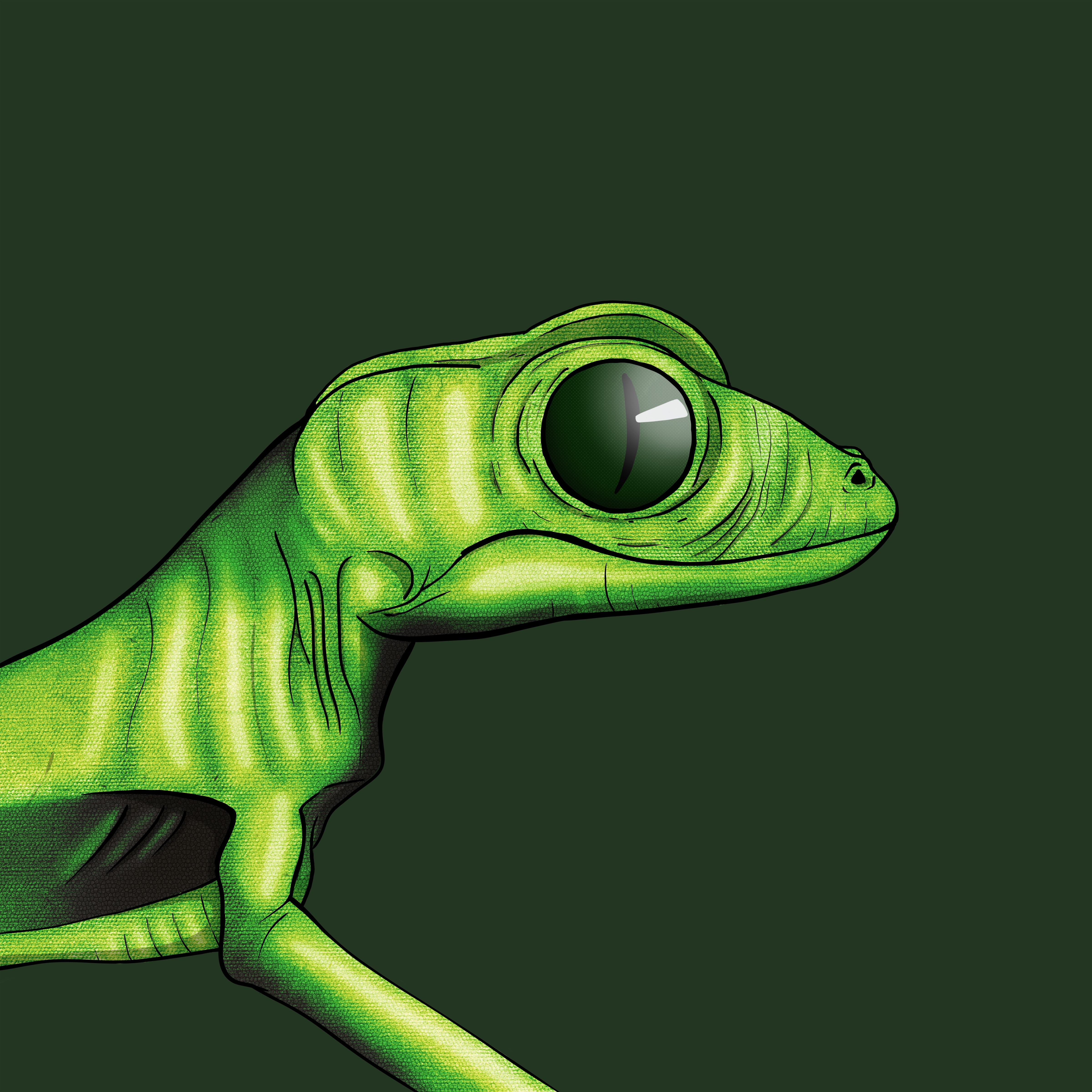 Geko 0436 NFT on Algorand