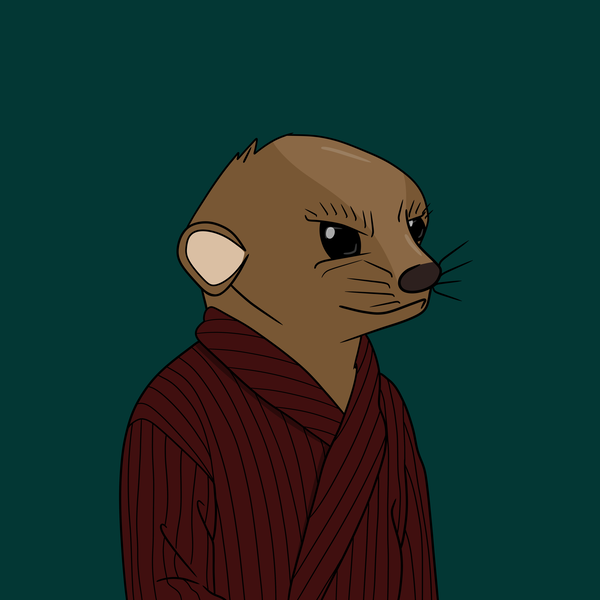 An image of Lil Meerkat #068