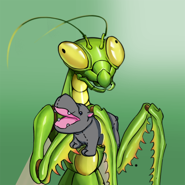 An image of Mantis #503