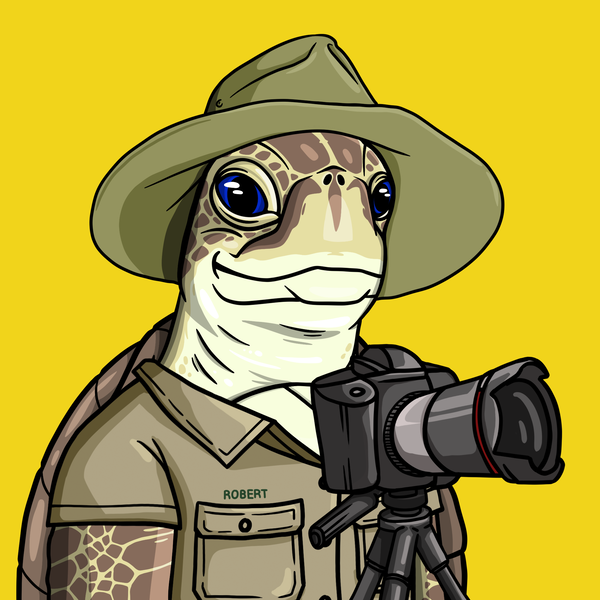 An image of Wildlife Warrior Turtle #7