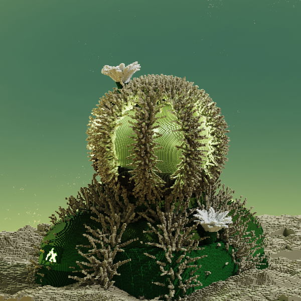 An image of AlgoCrew-Cactus 140