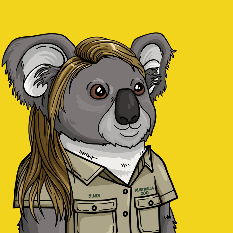 Image of Wildlife Warrior Koala #3