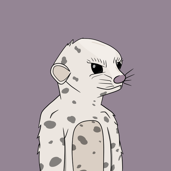 An image of Lil Meerkat #100