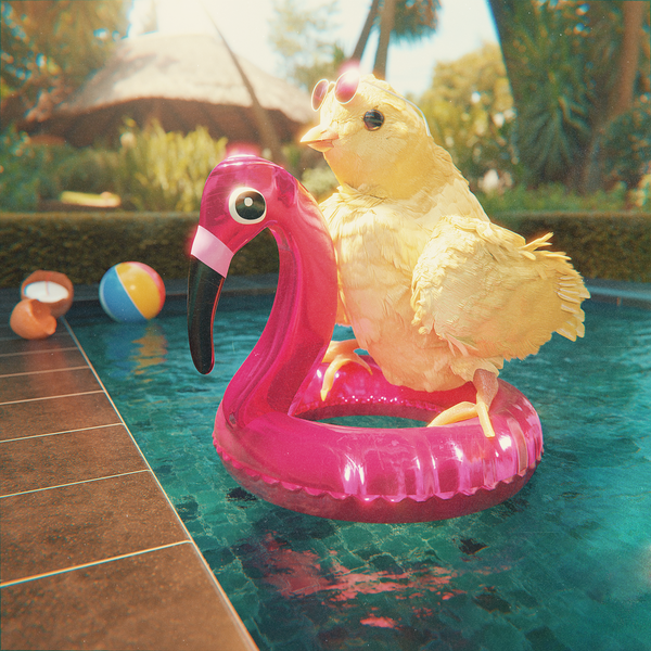 Image of Pool Day Chick