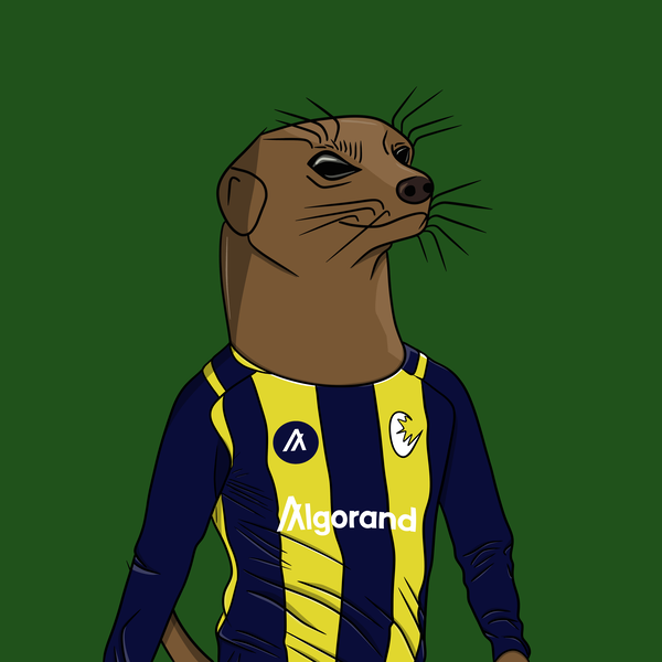 Image of Meerkat #048