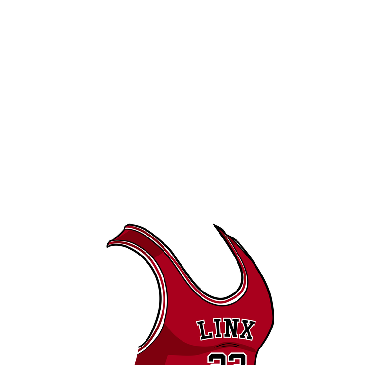 Image of Bulls Jersey