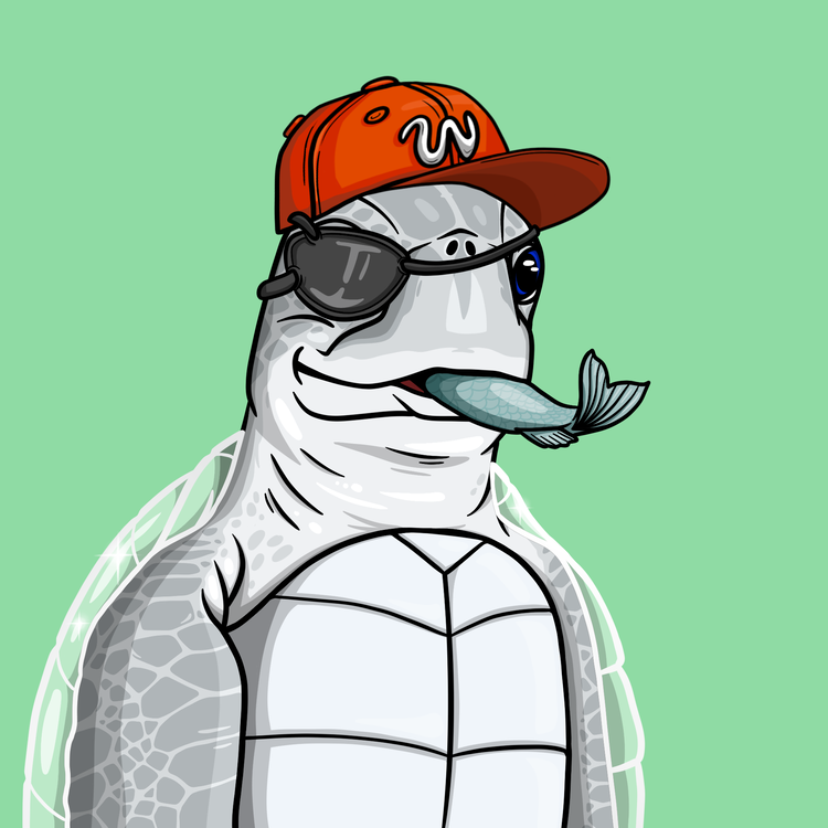 Image of Wildlife Warrior Turtle #43