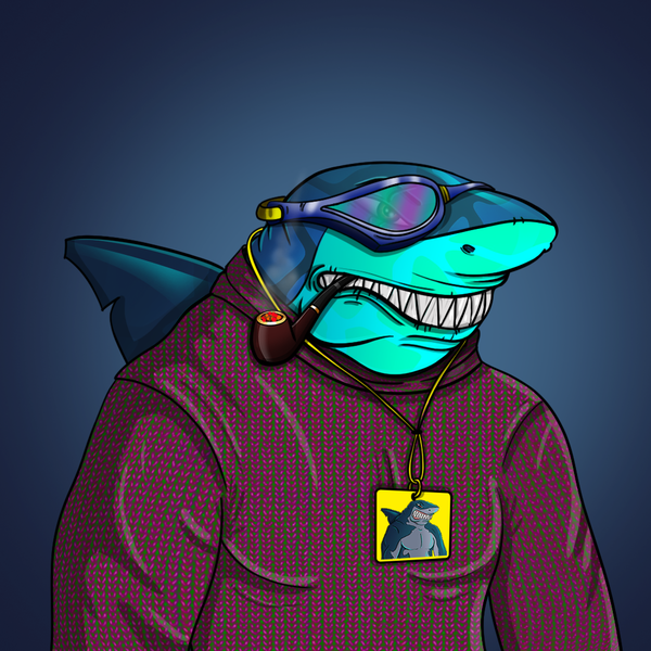 An image of AlgoShark #17