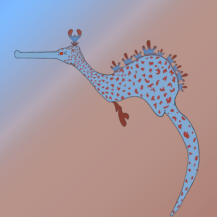 Image of  Seadragon 64