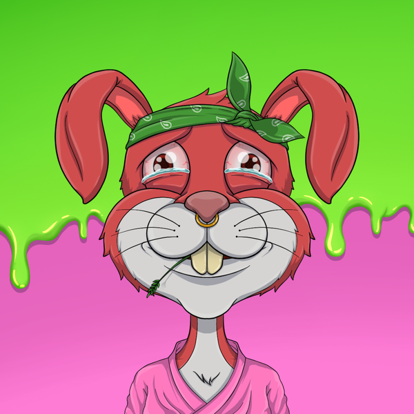 Image of Addict Rabbit Gang 27