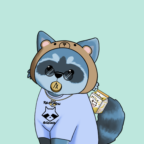 An image of Raccoon #3