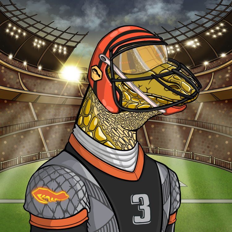 Image of Super Bowl Goanna 0016