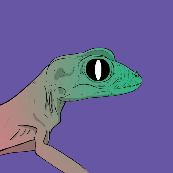 An image of Geko 0002