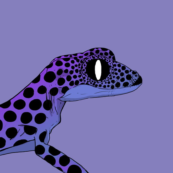 An image of Geko 0011