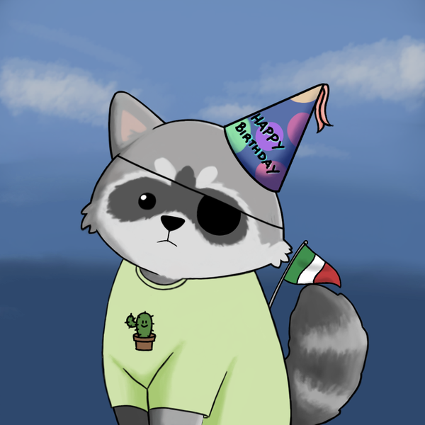 An image of Raccoon #9