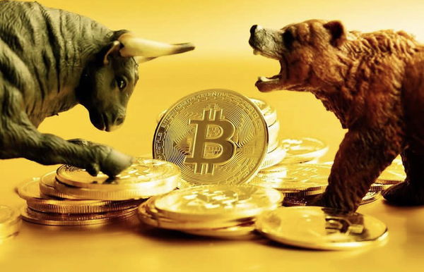 Image of Bull vs Bear Market BTC Trade