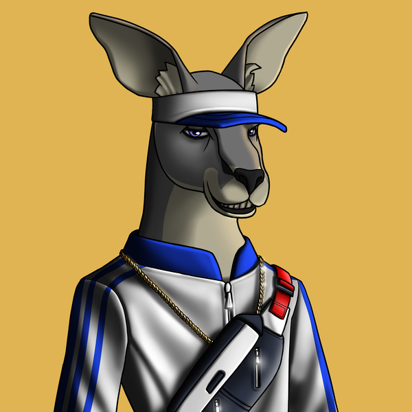 Image of AlgoKangaroo #48