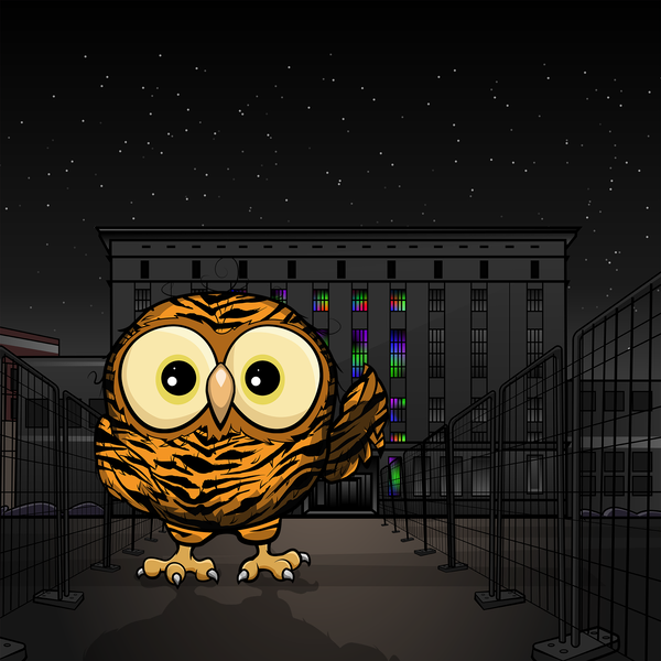 An image of cryptOOwl 021