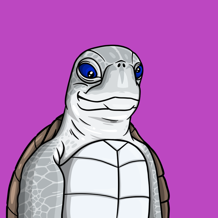 Image of Wildlife Warrior Turtle #14