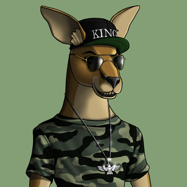 Image of AlgoKangaroo #52