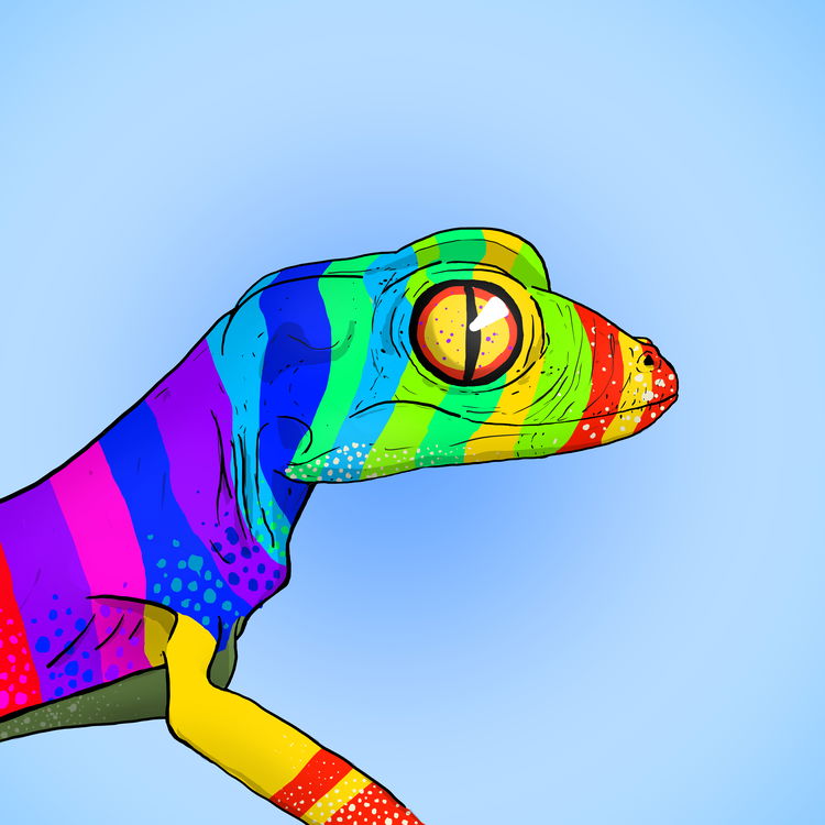 Image of Geko 0054