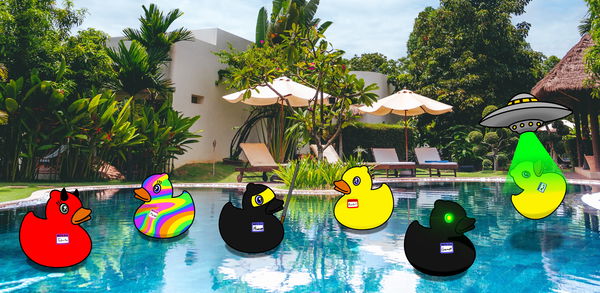 An image of The Rubber Ducks