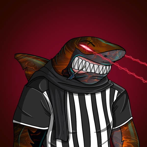 Image of AlgoShark #2000