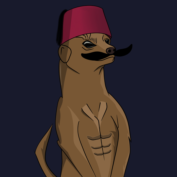 An image of Meerkat #009